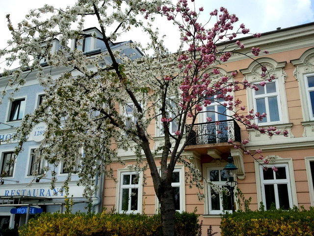 Welche Farbe soll ich nehmen?