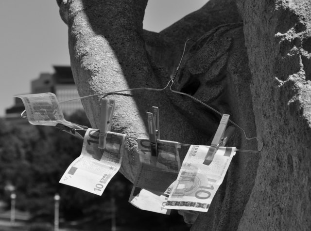 Hitze und Krise treiben seltsame Blüten im Stadtpark