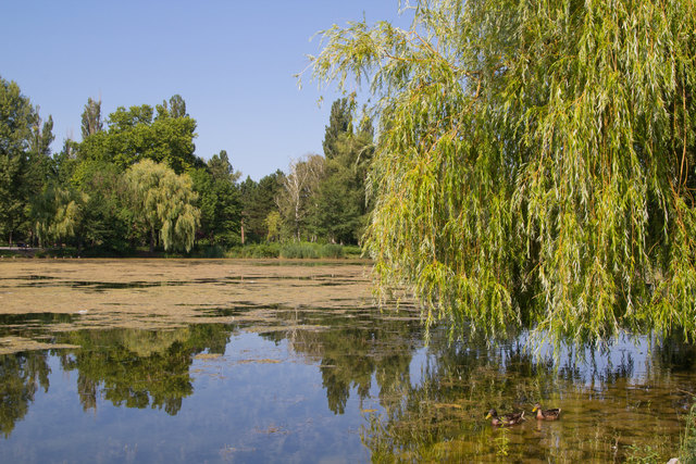 wasserpark floridsdorf