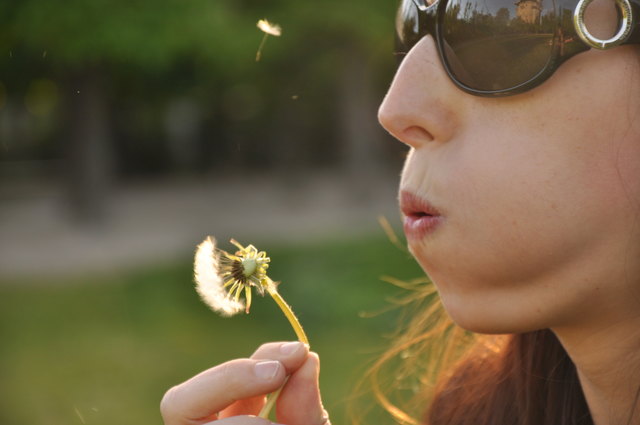 Sommerliche Blüten treibt der Augarten
