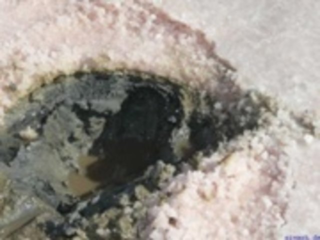 Natürliche, hochwertige Sivash-Heilerde unter dem Salz.
 Hinzugefügt von Sivash
sole http://www.sivash.at/de/rosafarbene_sole | Foto: Alnova UG, Karlsruhe