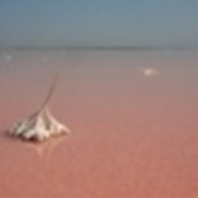 rosa Sole des Siwaschsee's | Foto: Alnova UG, Karlsruhe