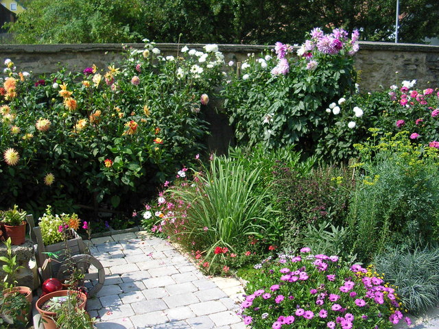 BLÜHENDER BLUMENGARTEN im SEPTEMBER - Horn