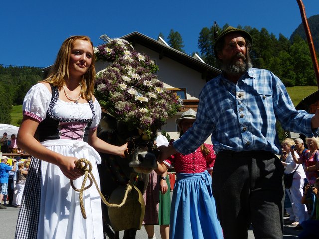 Die Besucher bekamen wunderschön geschmückte Kühe zu sehen.