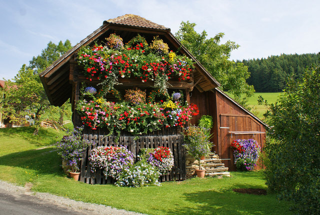 Der Feldkasten von Johanna und Johann Kropf wurde beim Blumenschmuckwettbewerb mit Gold ausgezeichnet. | Foto: KK