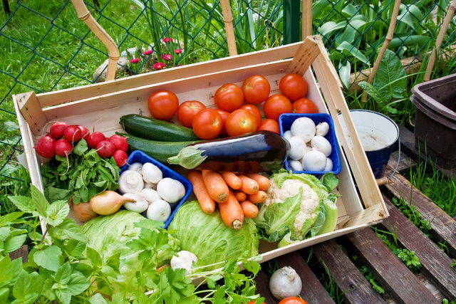 Im LKH Schärding kommen nur regionale Produkte auf den Tisch – des Geschmackes und der Gesundheit wegen. | Foto: Babsi_W/Fotolia