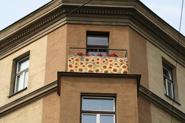 Sonnenblumen in der Leebgasse 42 bringen Farbe in den Herbst.