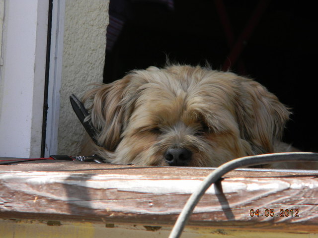 Ein wenig Sonne tanken tut gut;.)