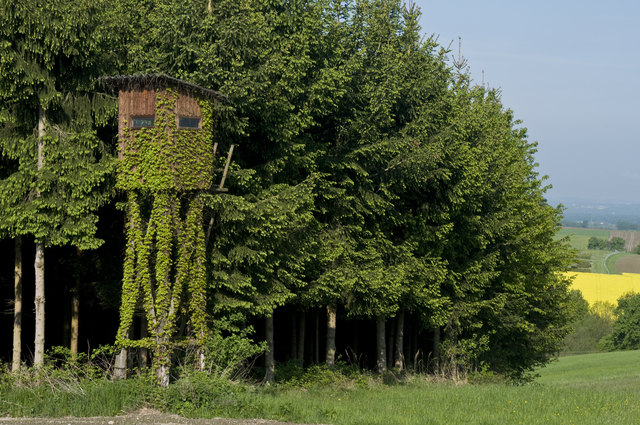 Hochstände: Die Bauweisen sind unterschiedlich und reichen von skurril bis meisterhaft. | Foto: Fußl
