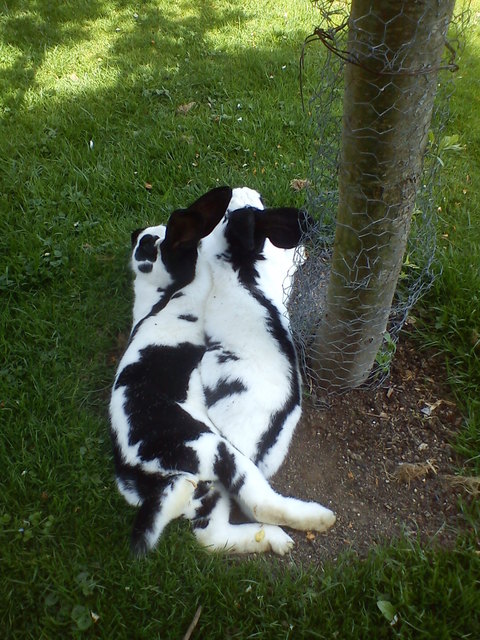 wir sind unzertrennlich !!