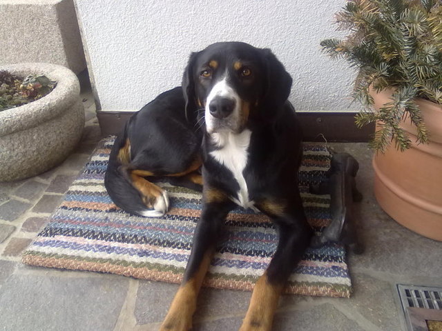 Das ist unsere Melli :)
