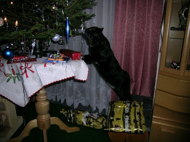 Ganz schön frech!! ;)