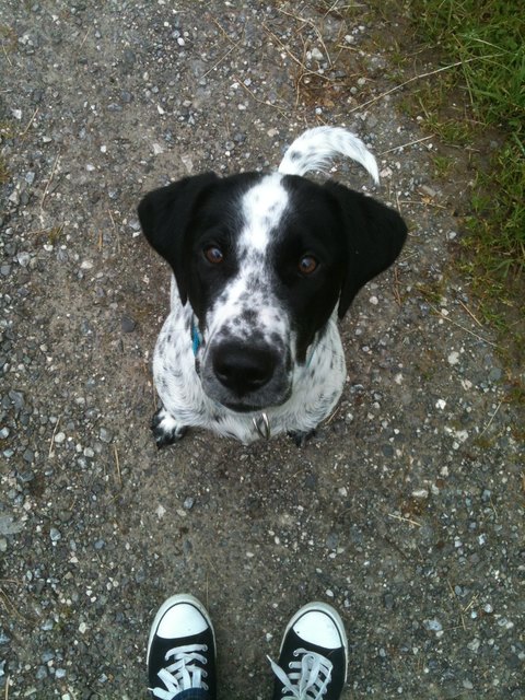 Bei dem Blick kann man nie böse sein :D