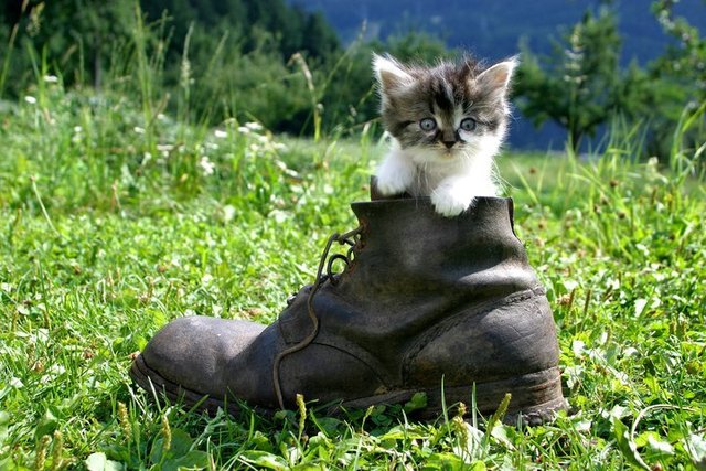 muinza im schuach =)