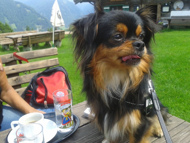 mein kleiner schatz maiky:);)