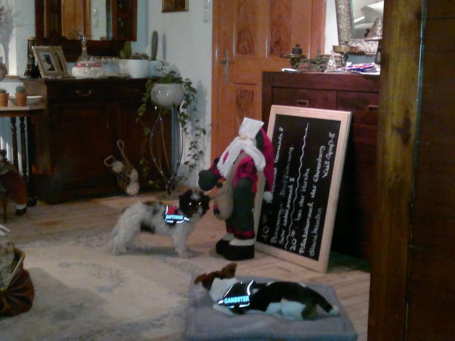 Hey Jacky  Kumpel,lass mal schauen ob der Weihnachtsmann was für uns hat.