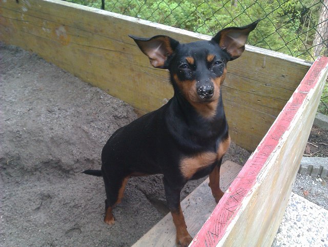 Ein Loch graben in der Sandkiste macht richtig Spaß....