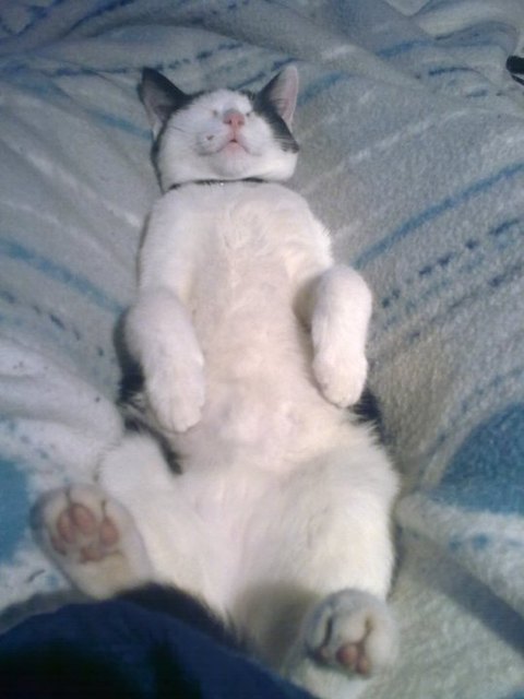 Ein richtiger Geniesser :-)