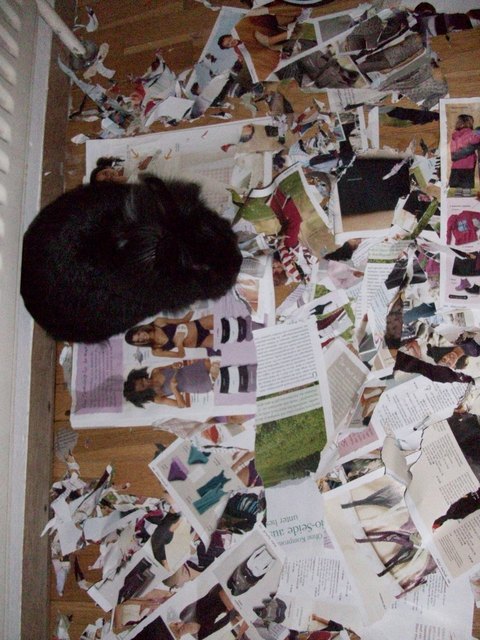 Elsa hilft beim Schrettern