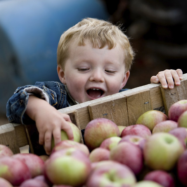 Foto: Keene/istock