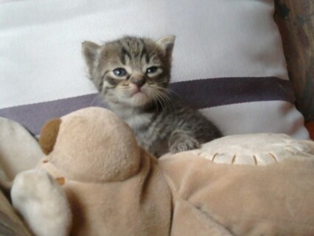 Unser Pauli mit seinem Kuscheltier