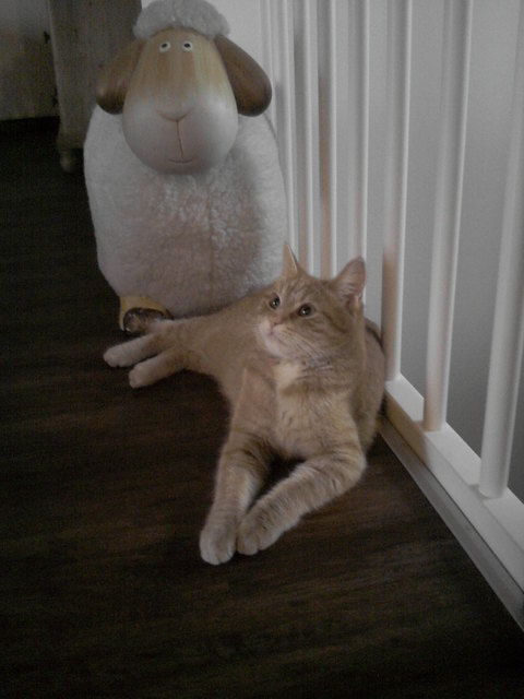 Mein Kater Hugo mit seiner Paula ;-)