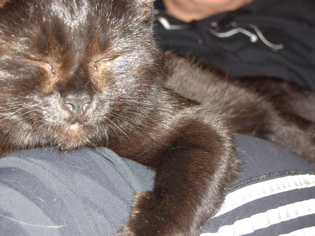 immer diese photografiererei