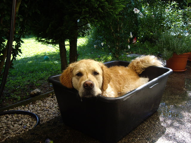 ...chillen in meinem Schwimmingpool ;-D