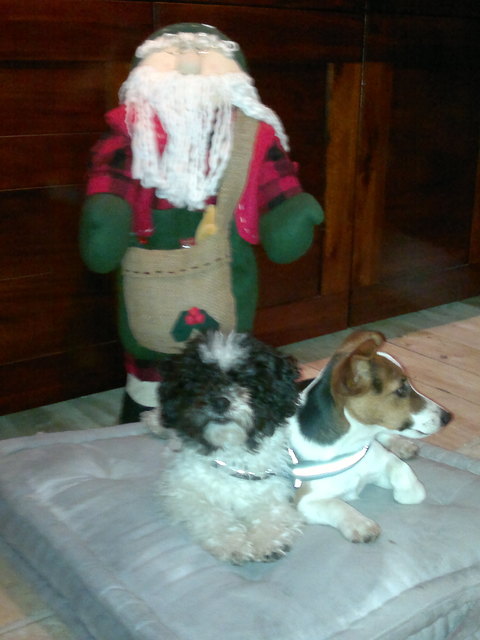 Neues von Joschy und Jacky (nur Ruhe,gleich gibts was Leckeres)