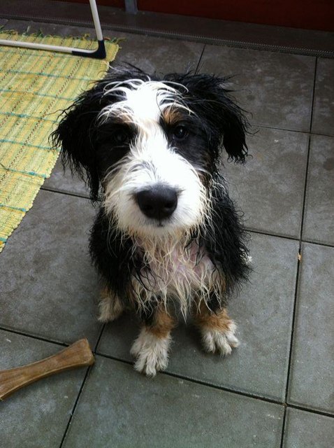 Unser kleiner Charly