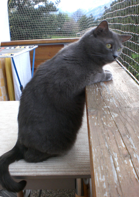 wo bleibt sie denn??