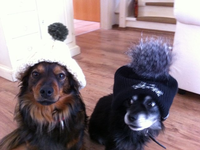 na dan können wir mal ein schal wäre auch itial