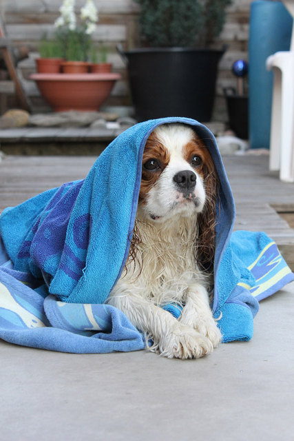 Ich war schwimmen :)