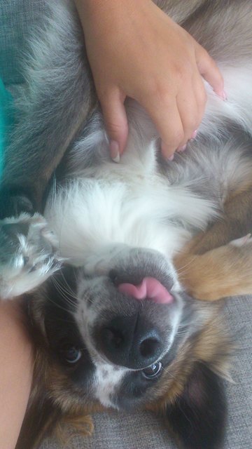 bin ich nicht süß ;)