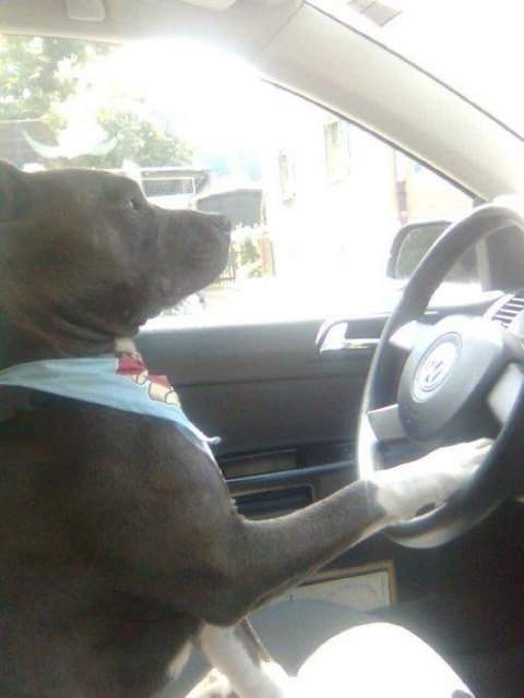 verro my taxi driver