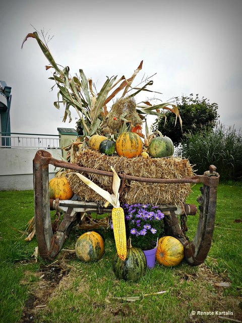 Eine wahrlich herbstliche Veranstaltung ...
