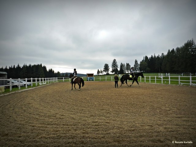 .. die Schützlinge und hoffentlichen Sieger der Veranstaltung ;-)))