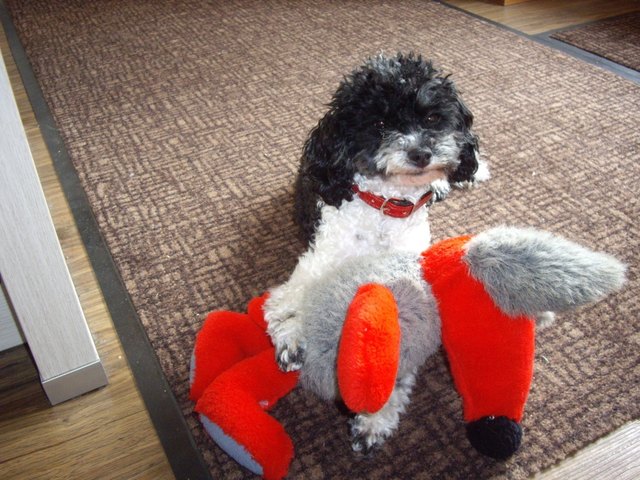 unsere princess lucy!!!!