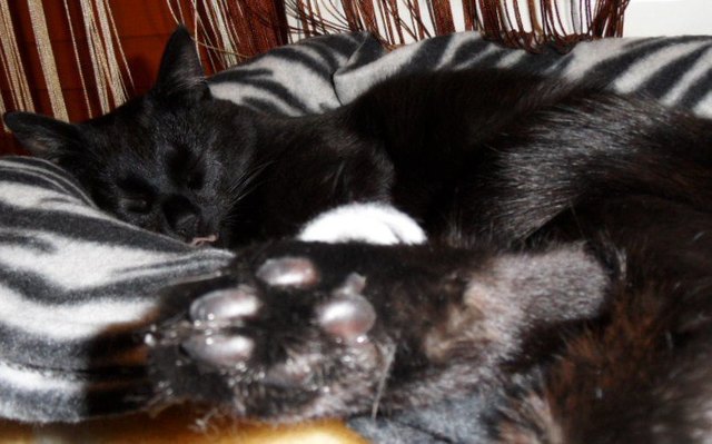 meine prinzessin beim schlafen