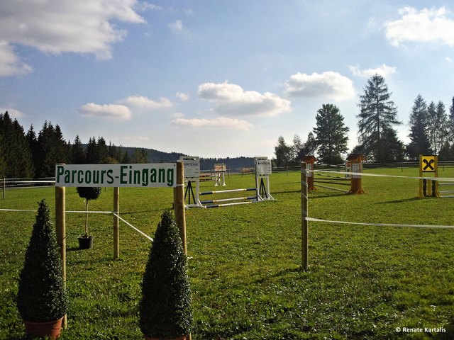 ... da hatten wir wirklich Glück mit dem Wetter und hoffen, dass dies heuer auch wieder so ist ...