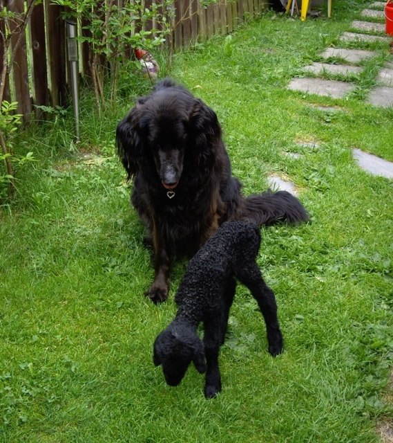 jenny, unsere mutter für alles!!