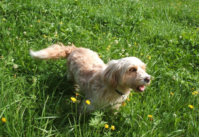 ... unsere kleine Hexe Lela