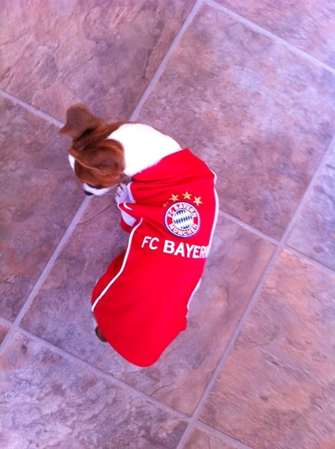 Unser kleines Baby ist ein Bayern Fan!