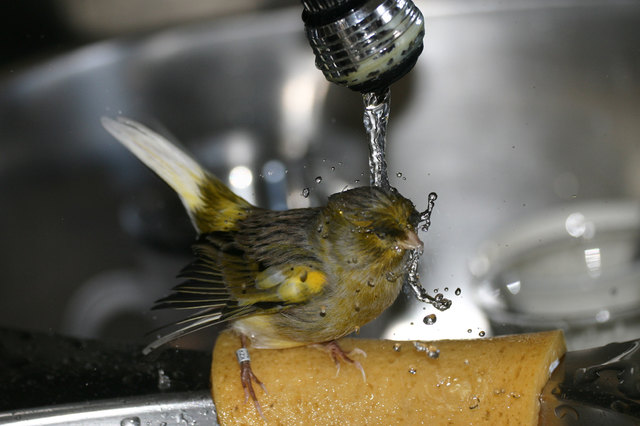 Ich habe eine eigene Dusche