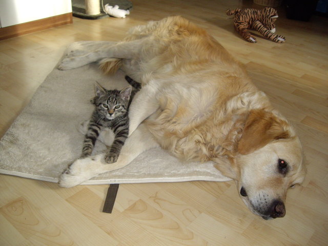 ...mein großer Bruder...