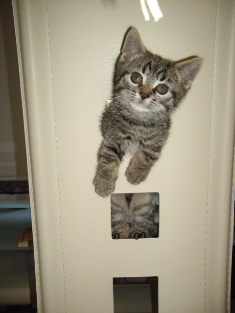 ...auf der Karriereleiter nach oben...