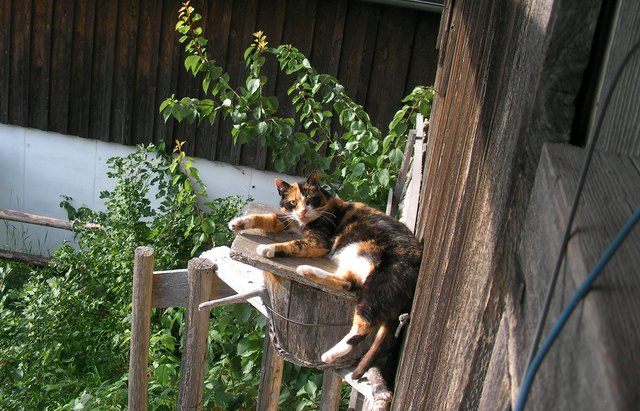 Ich genieße die Sonne!