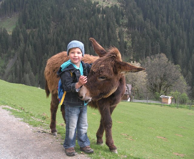 2 kleine Eselchen...  *ggg*