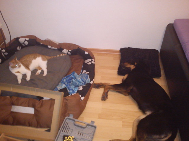 Wer ist hier der Chef?