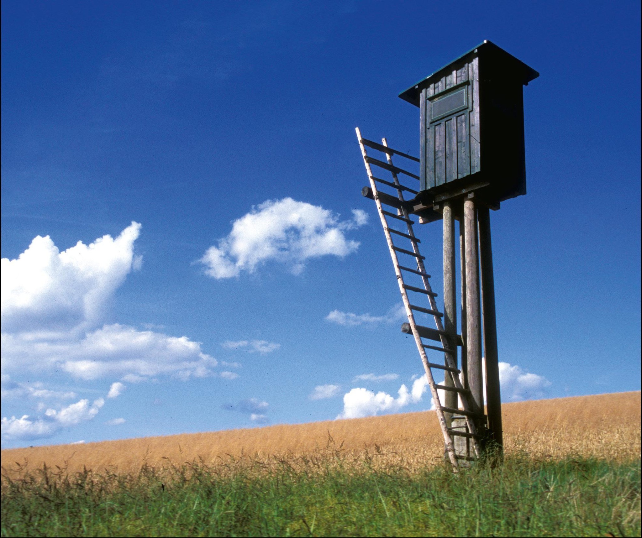 Jagdliche Hoch und Zustände im Inn und Hausruckviertel Grieskirchen